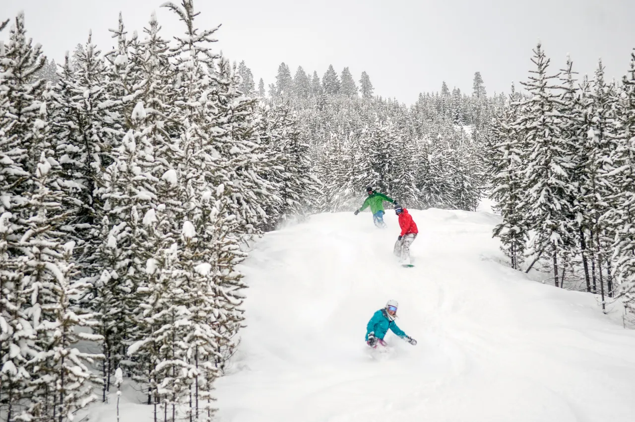 Powder skiing - snowboarding