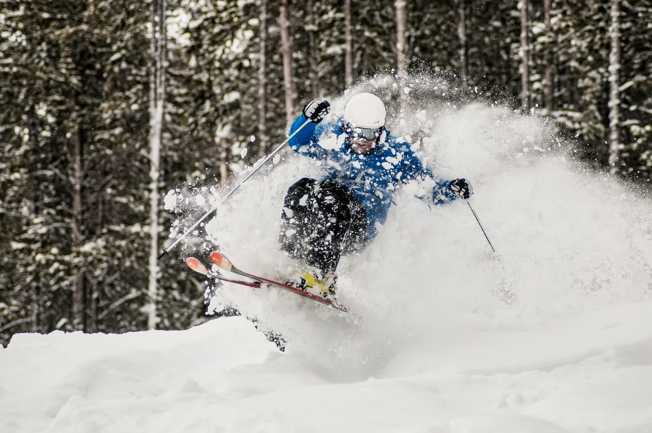 Powder skiing - snowboarding