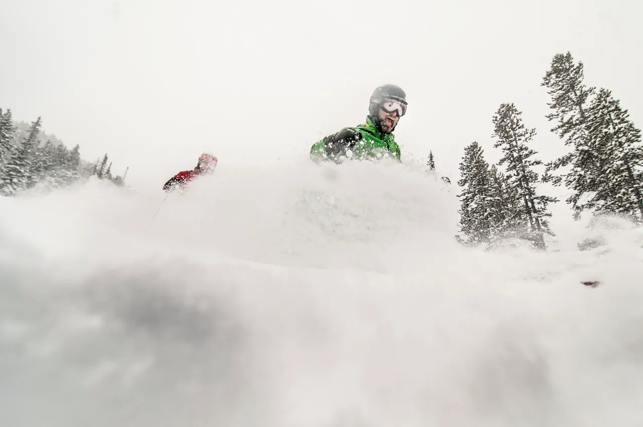 Powder skiing - snowboarding