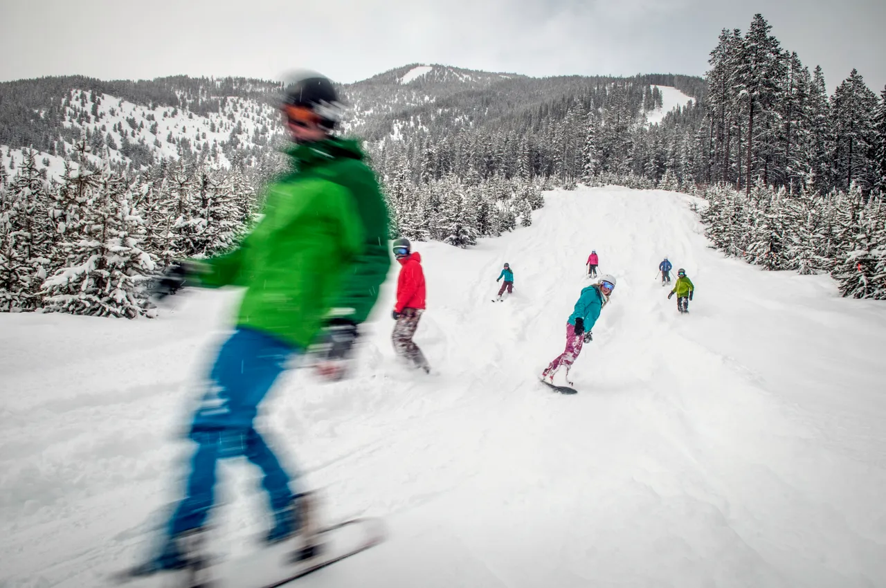 Powder skiing - snowboarding