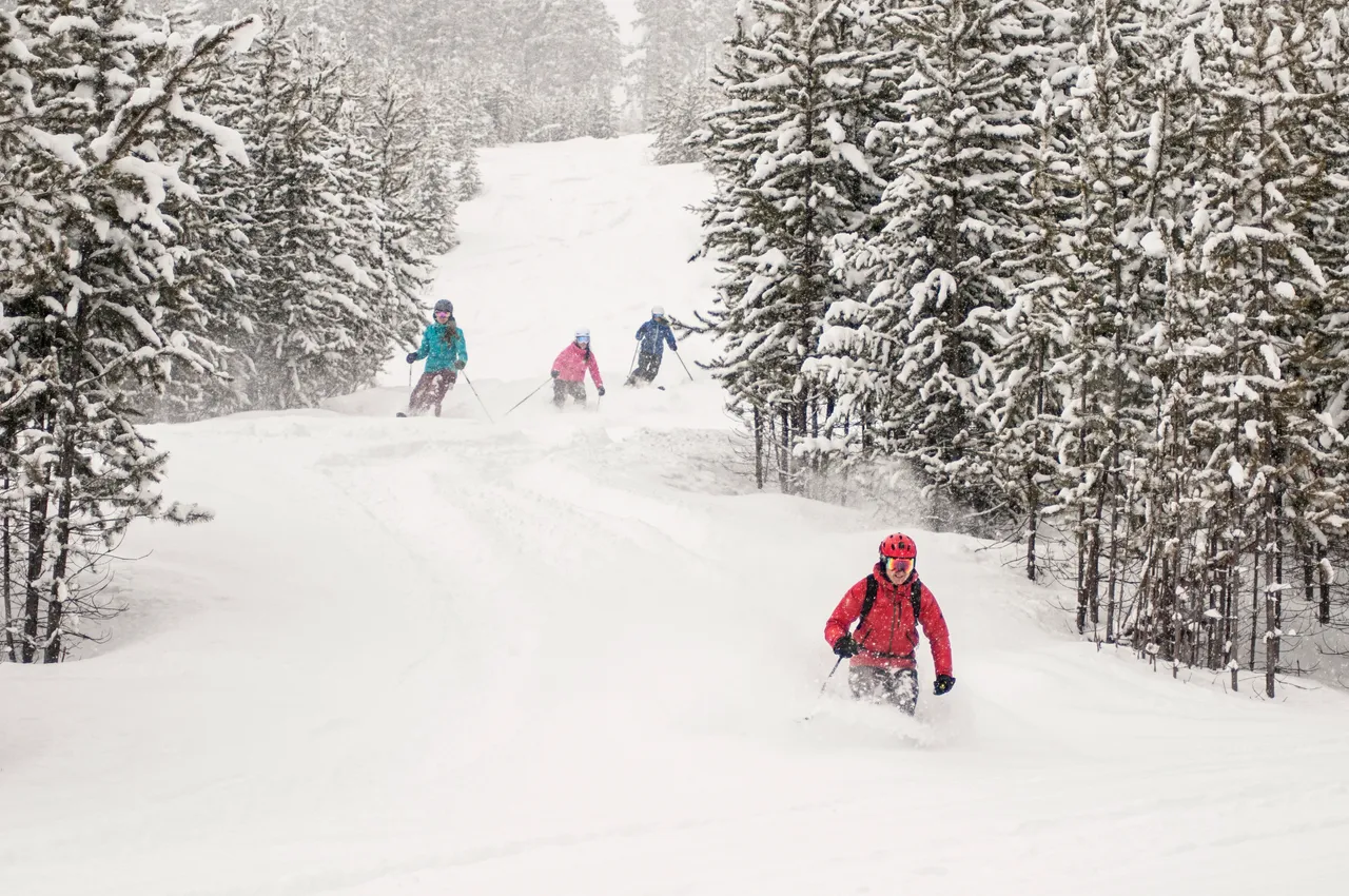 Powder skiing - snowboarding