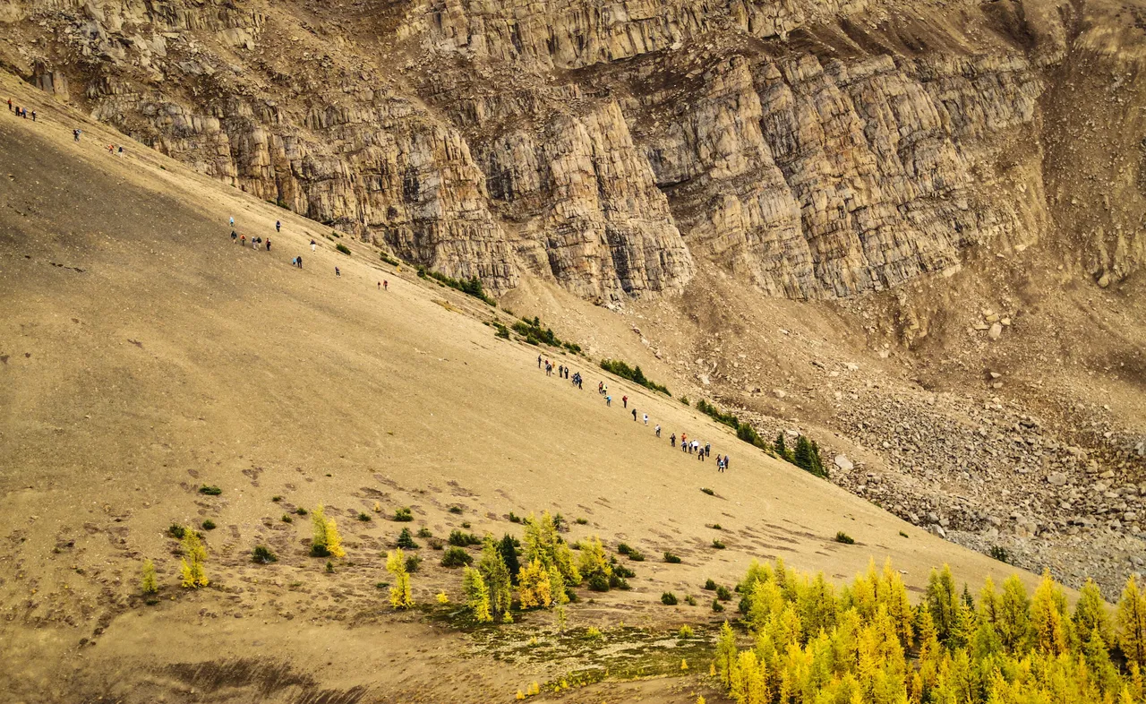 Colourful Summit Ridge Walk