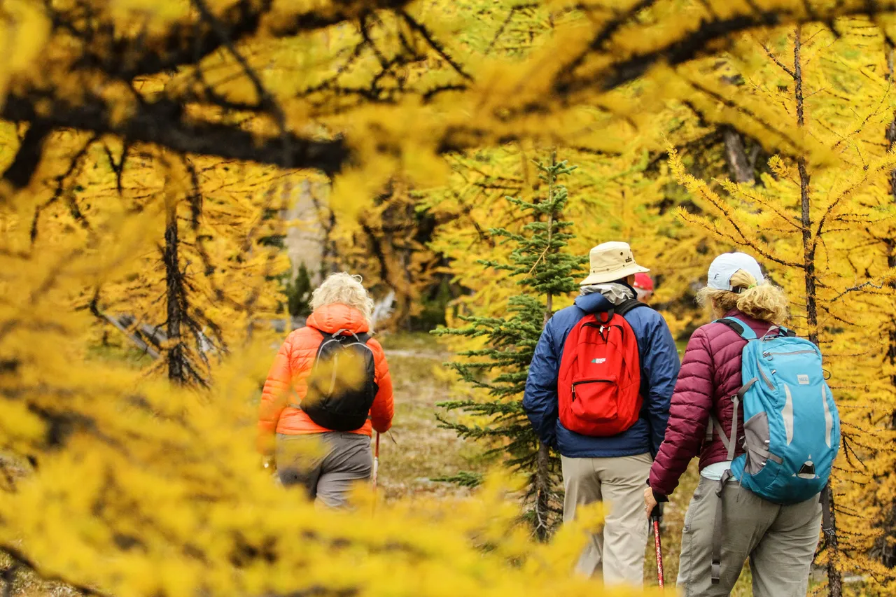 Colourful Summit Ridge Walk