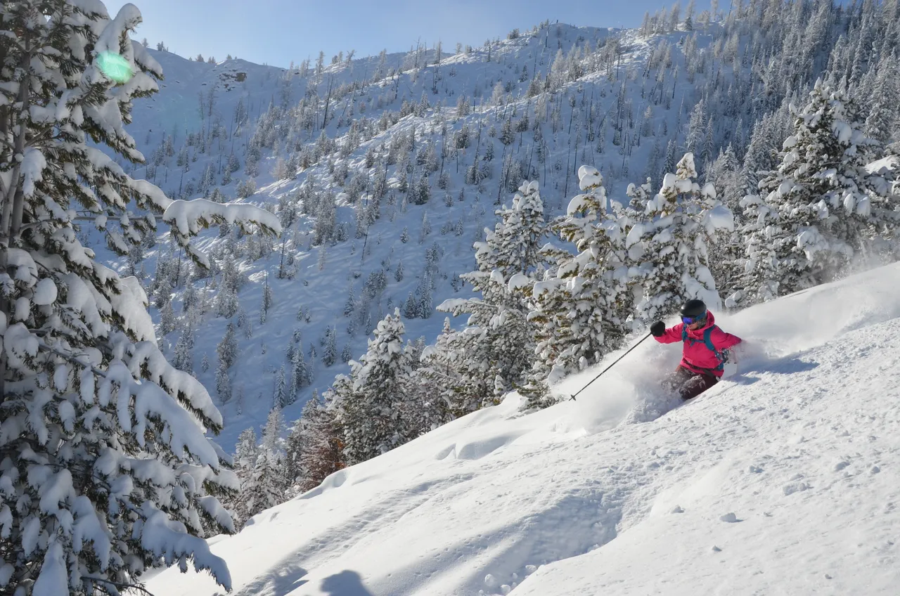 Powder skiing - snowboarding