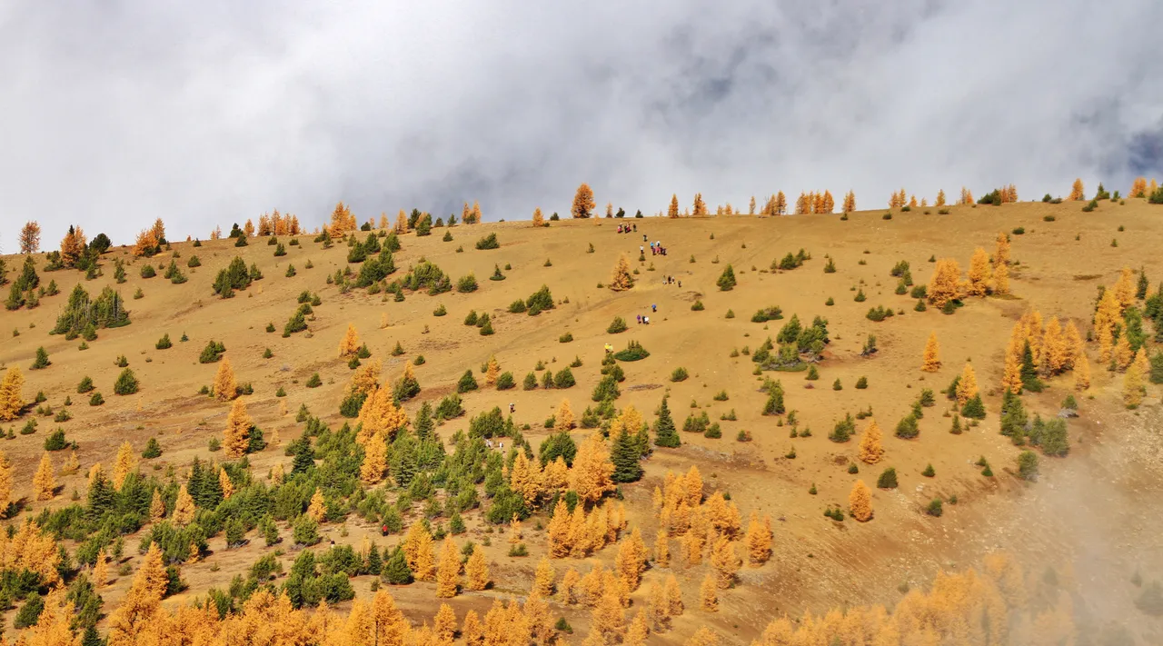 Colourful Summit Ridge Walks