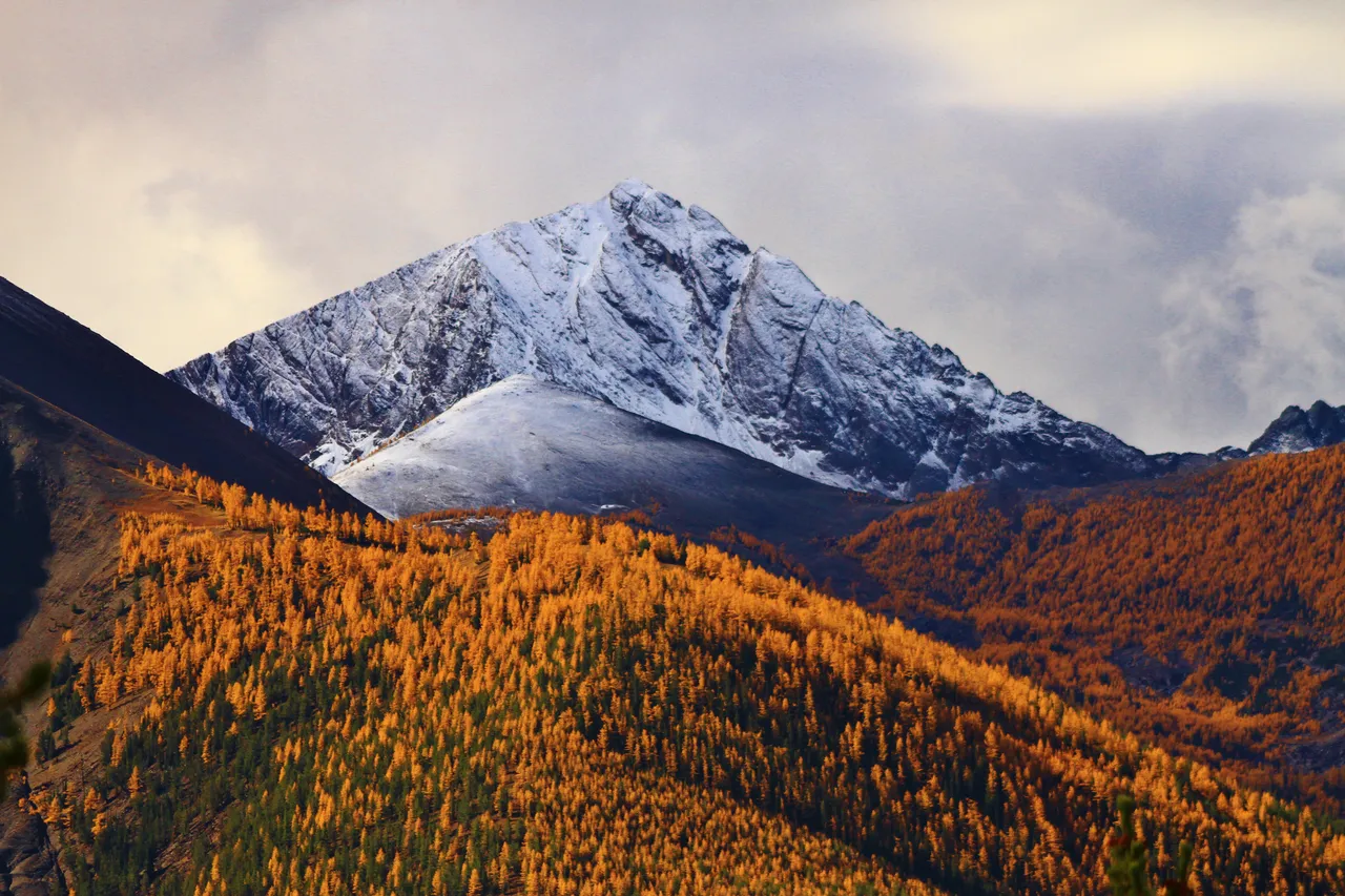 Colourful Summit Ridge Walk