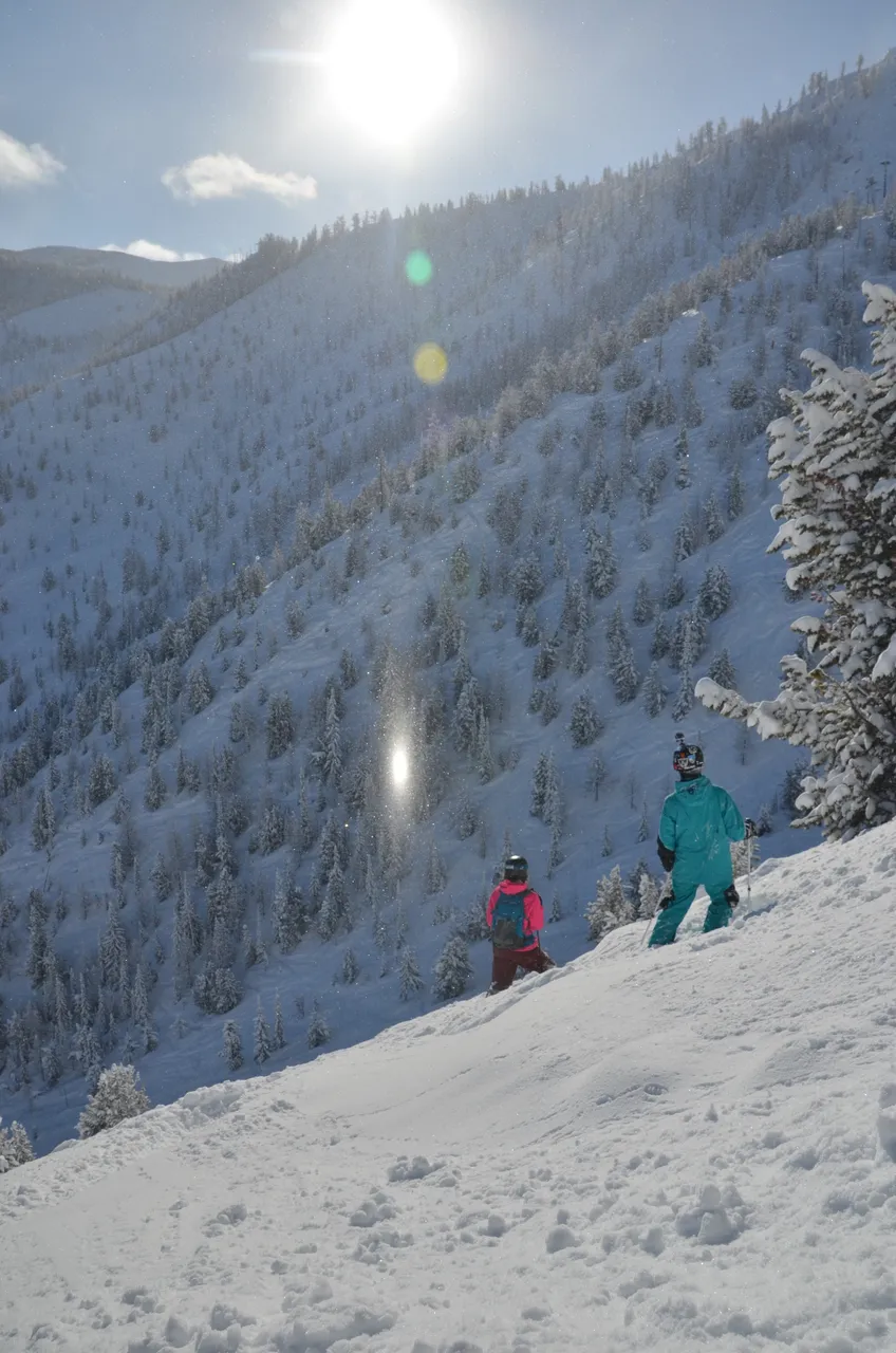 Powder skiing - snowboarding