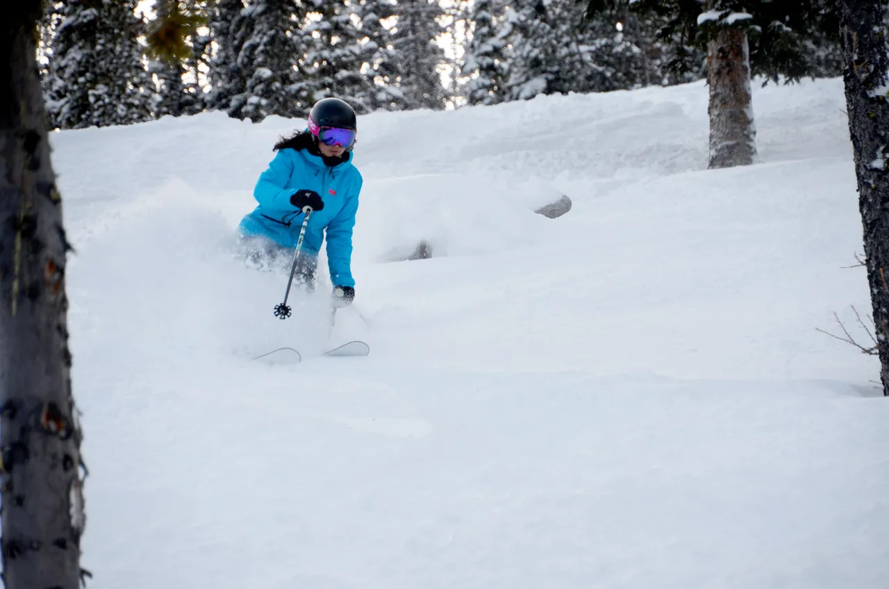 Powder Skiing (Extreme Dream Zone)