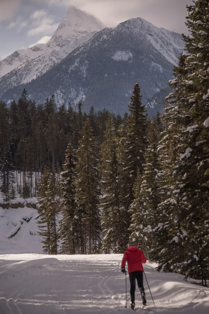 Cross-Country Skiing at Panorama