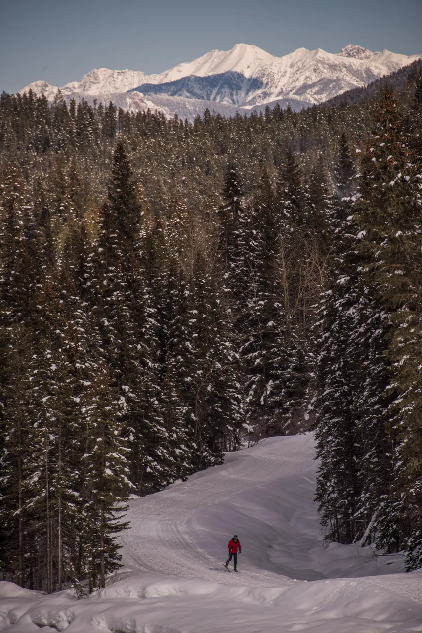 Cross-Country Skiing at Panorama