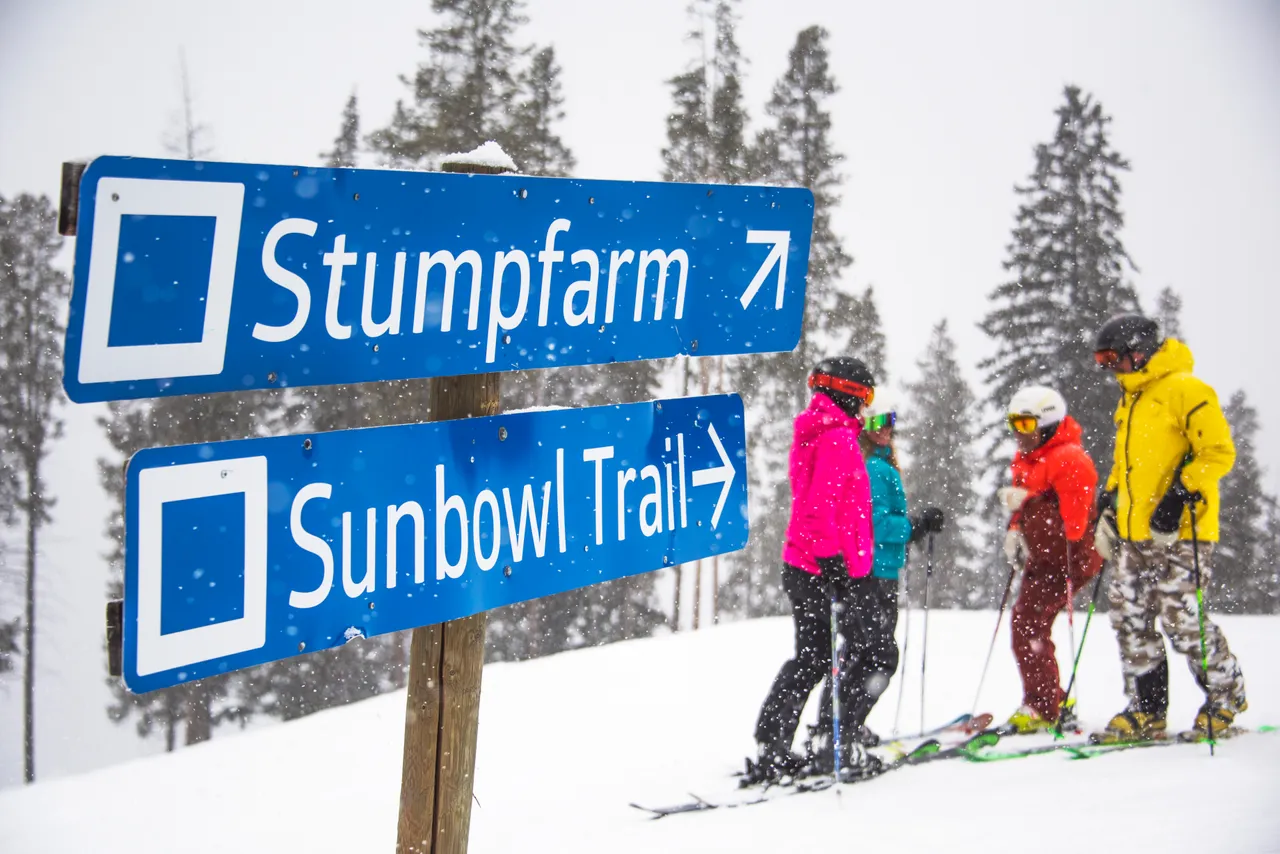 Piste skiing - snowboarding