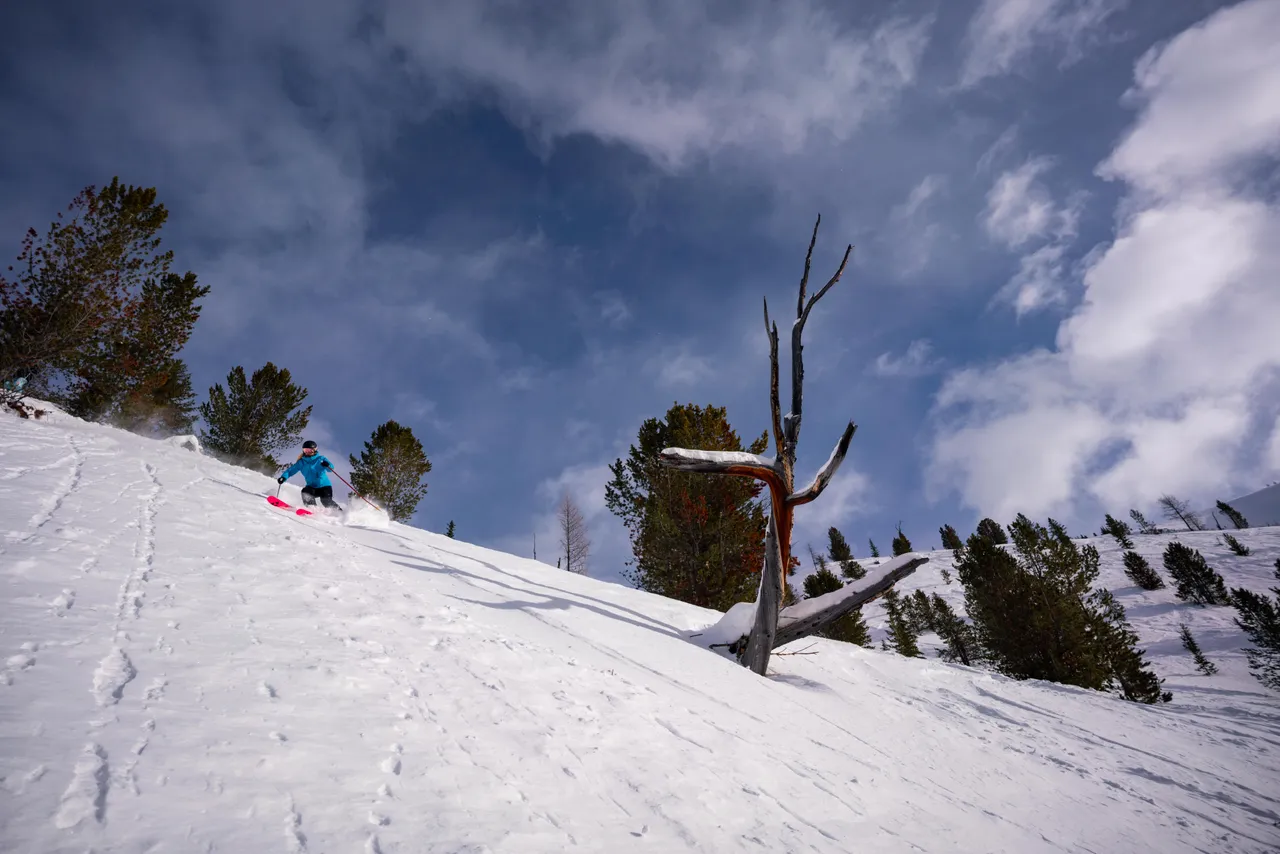 Taynton Bowl
