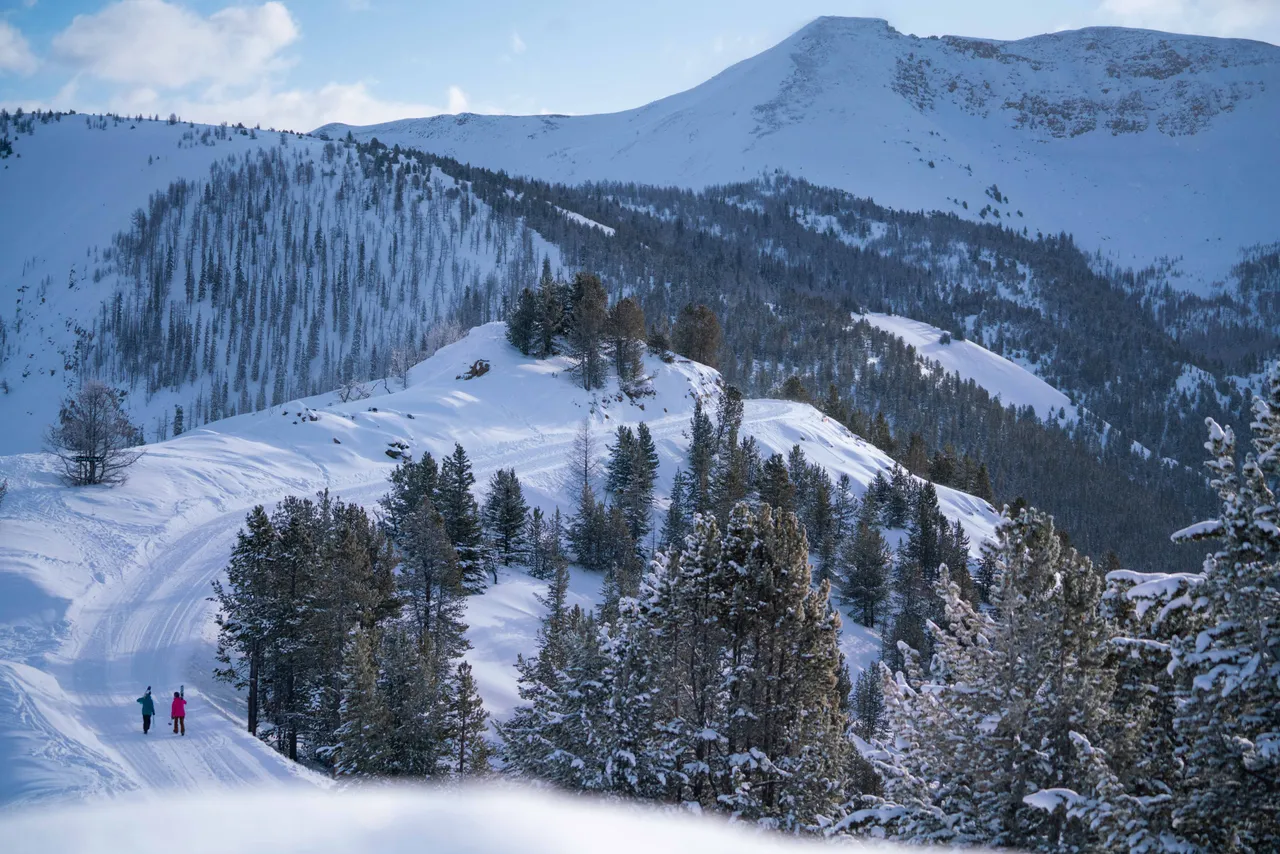 Taynton Bowl