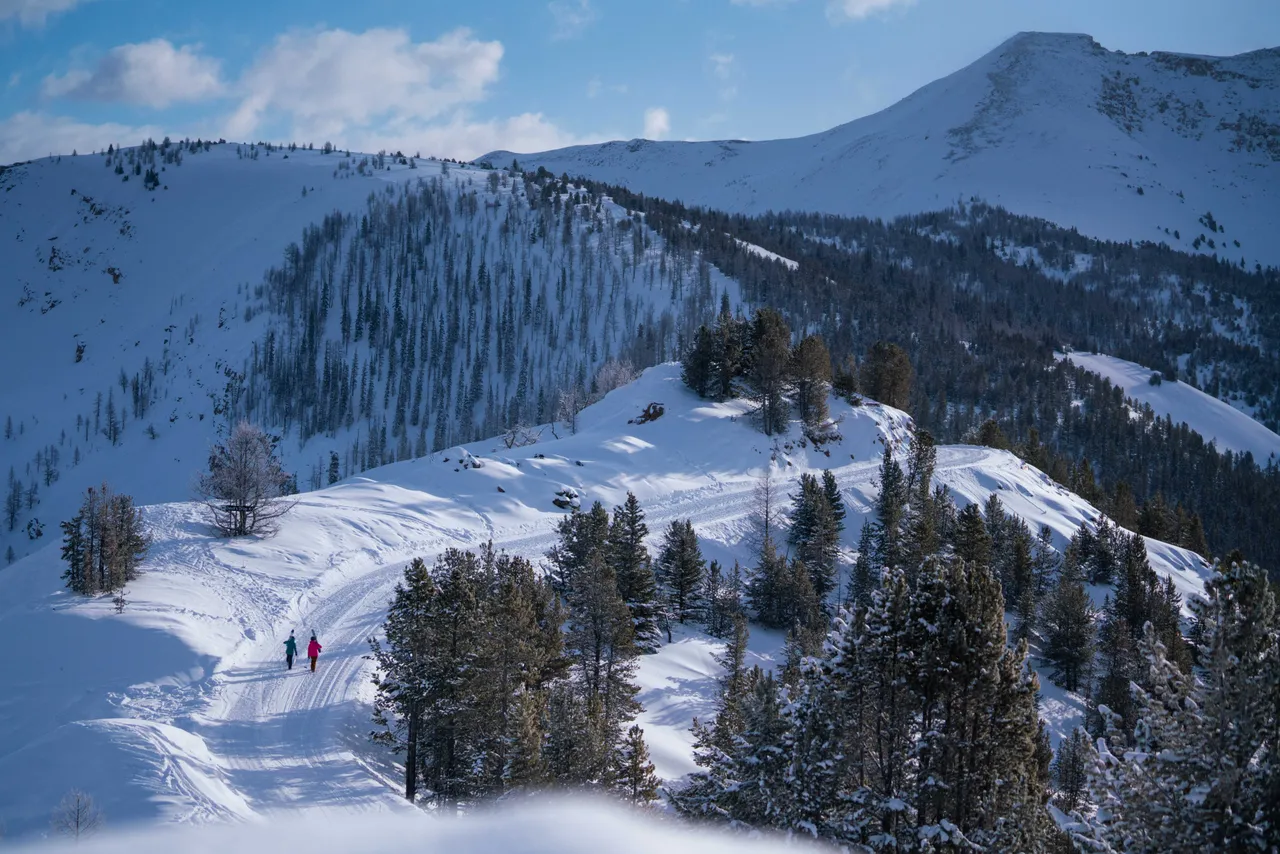 Taynton Bowl