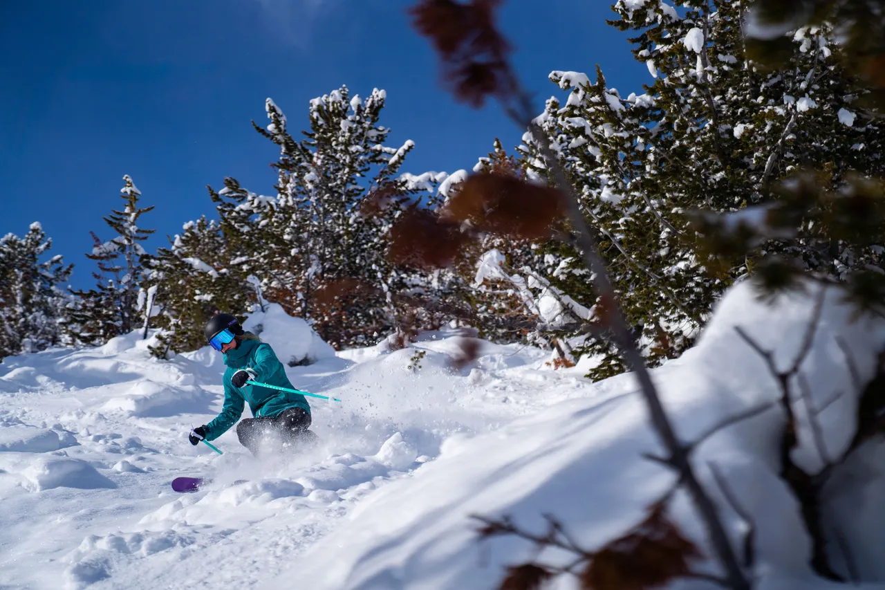 Taynton Bowl