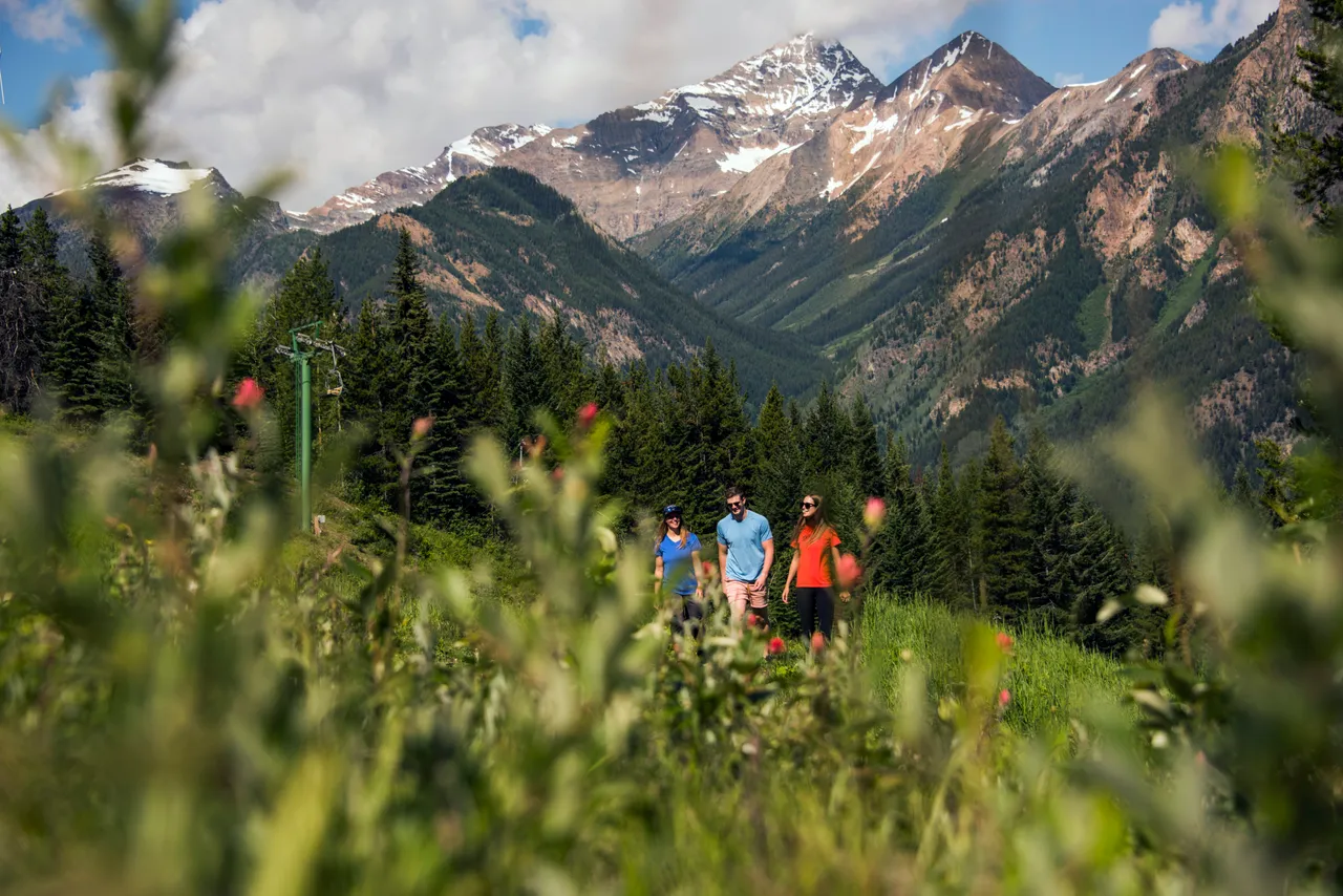 Summer alpine hiking in the wildflowers