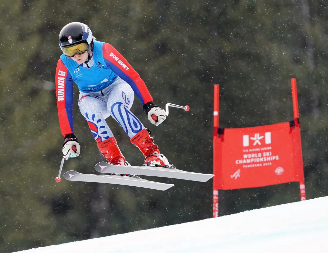 Women's DH | SVK