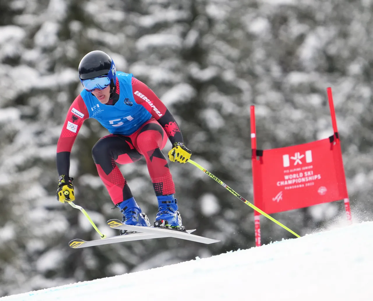 Men's DH | ALB