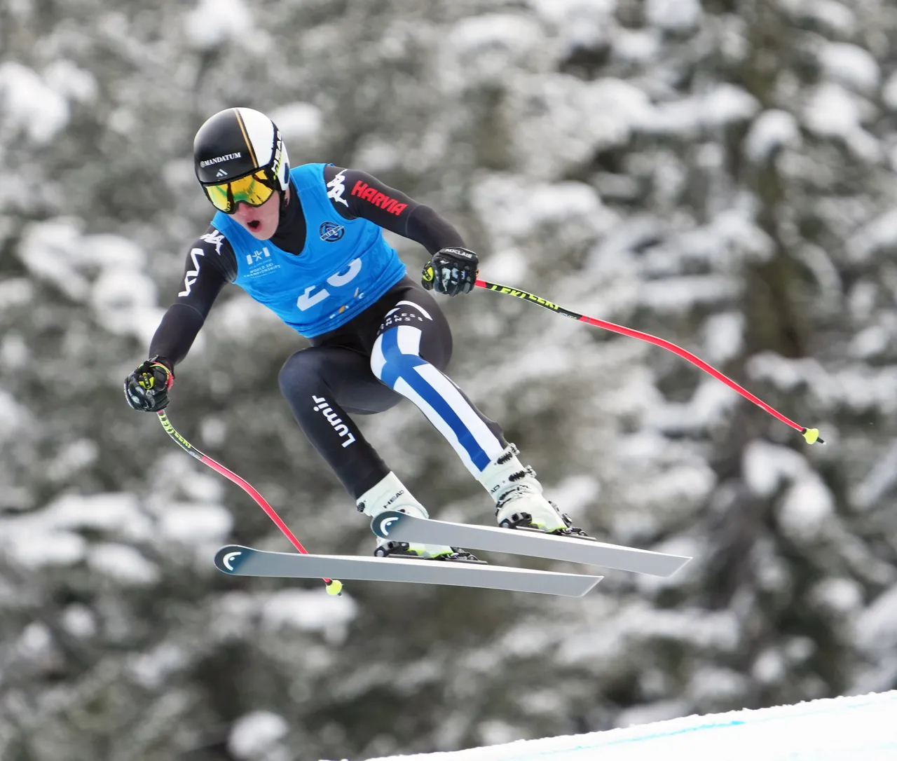 Men's DH | FIN