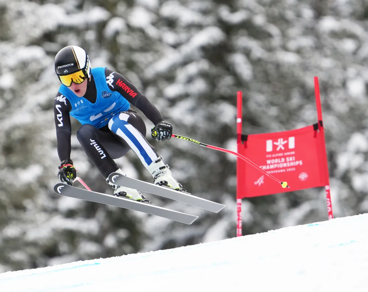 Men's DH | FIN