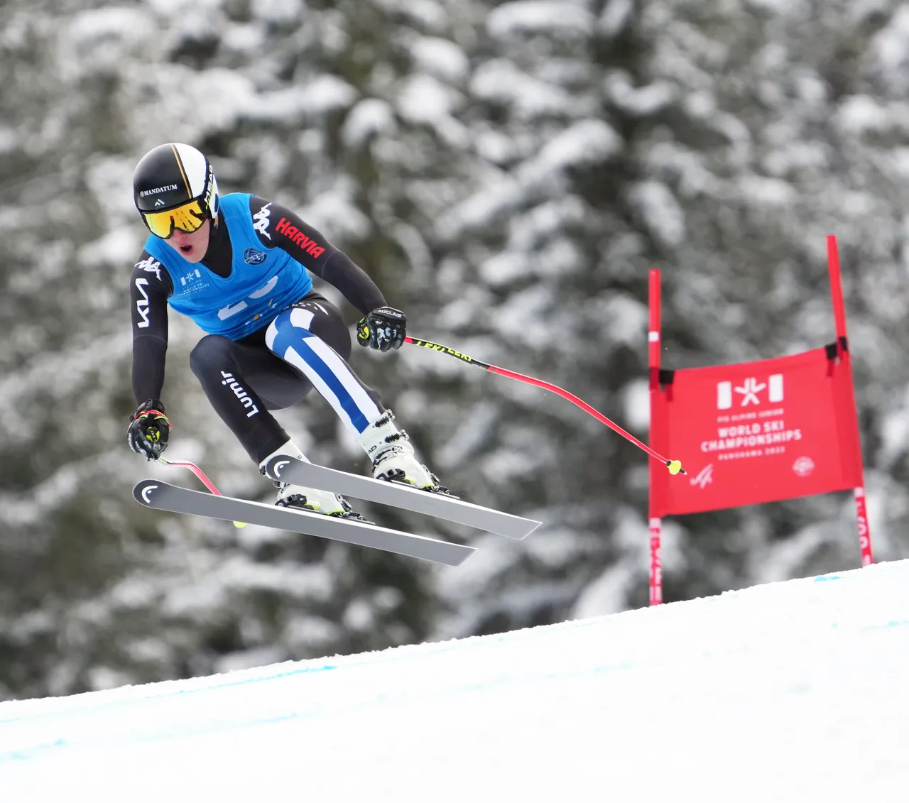 Men's DH | FIN