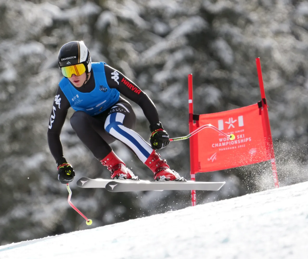 Men's DH | FIN