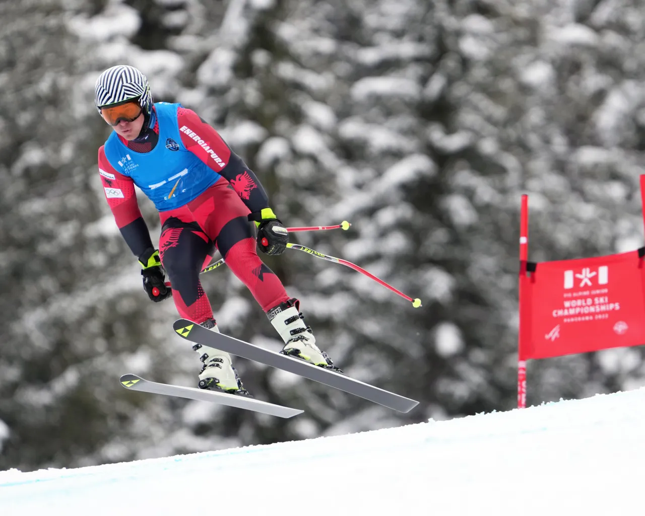 Men's DH | ALB