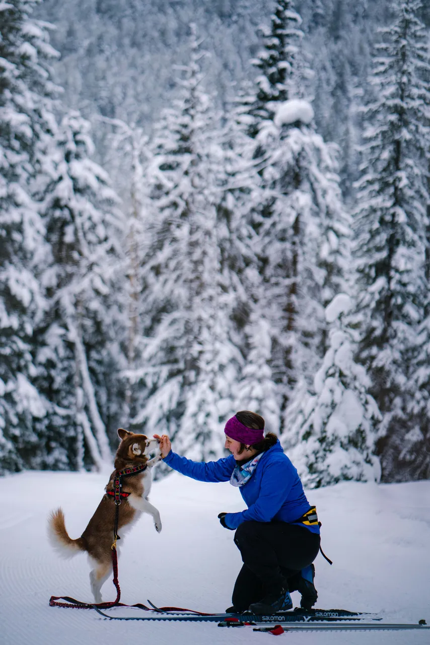 Cross-country skiing