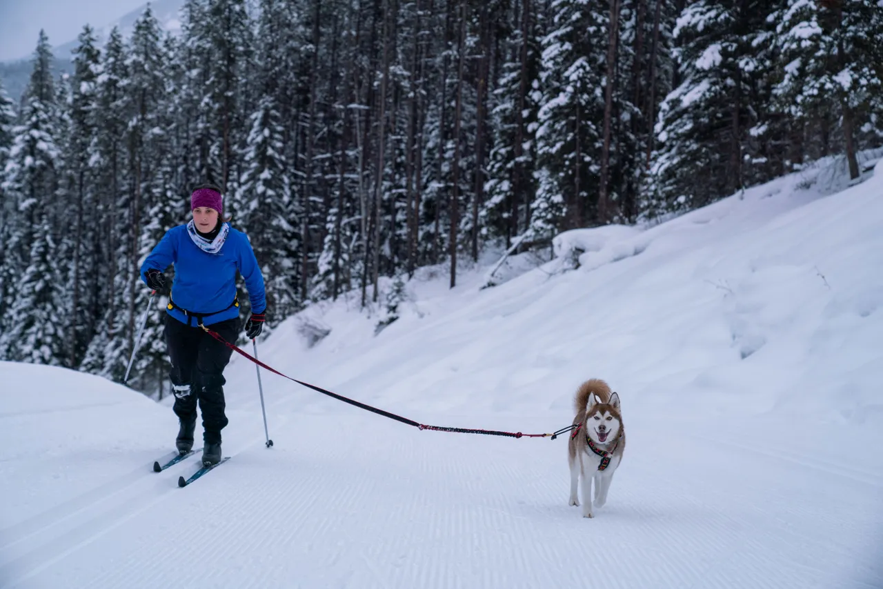 Cross-country skiing