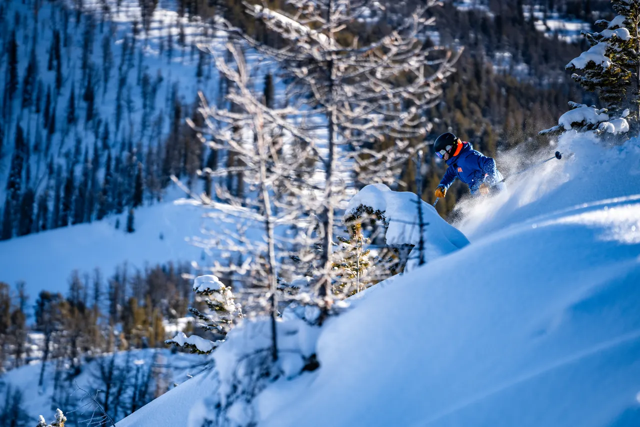 Powder skiing in Taynton Bowl
