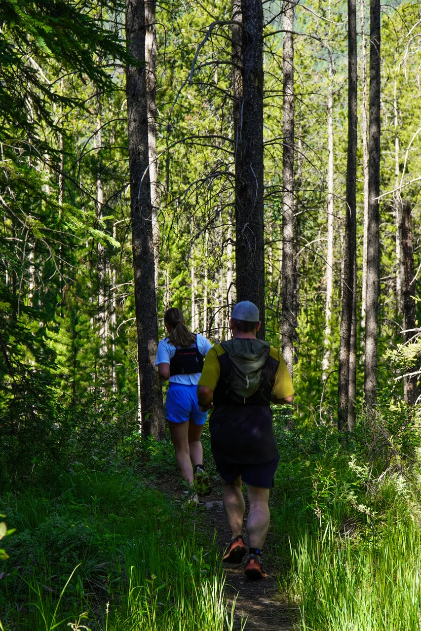 Panorama_WILDness Day 2_2025 (52)