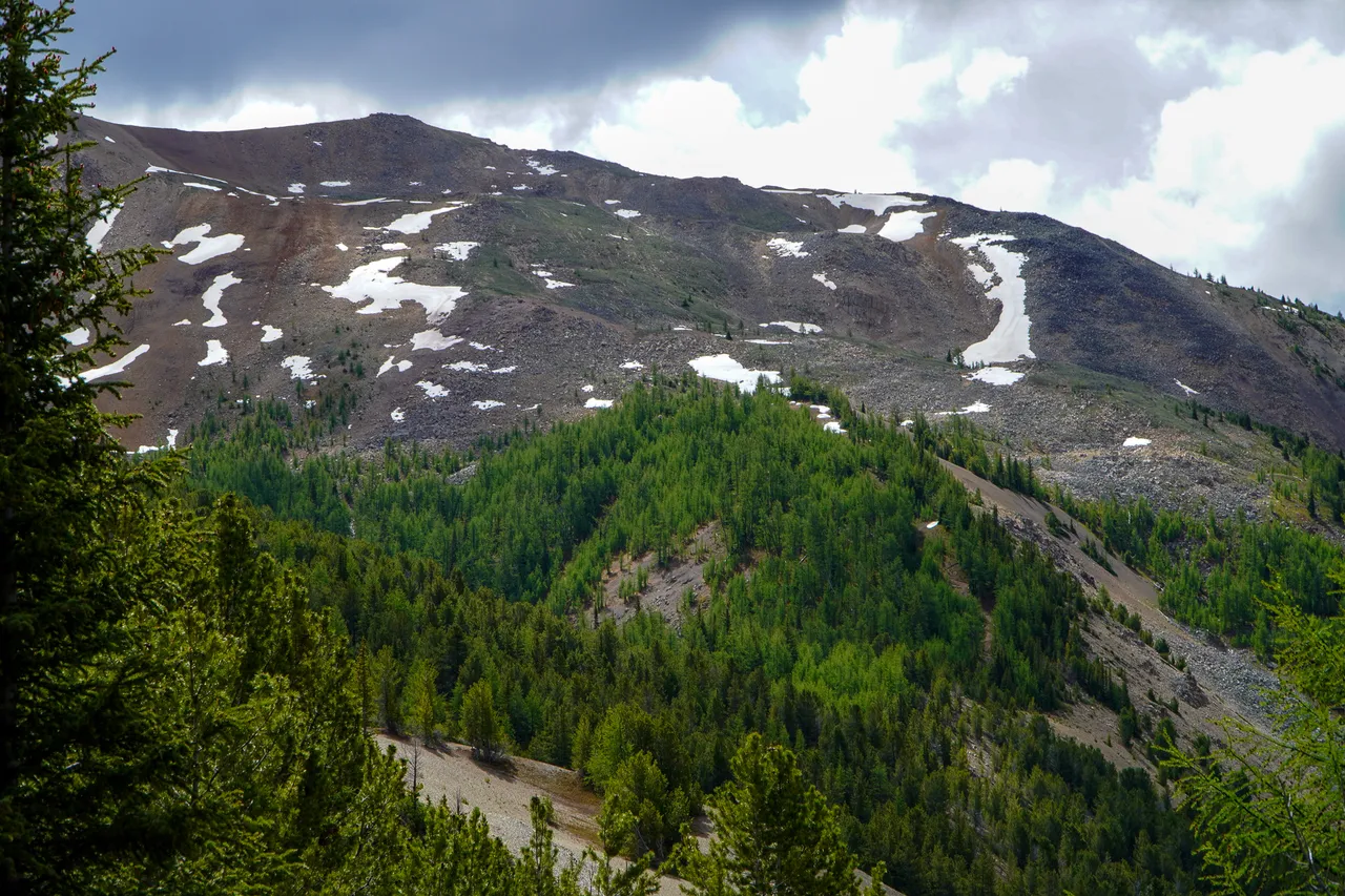 Panorama_WILDness Day 1_2025 (49)