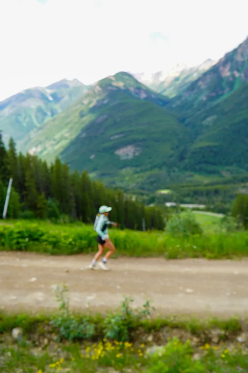 Panorama_WILDness Day 1_2025 (77)