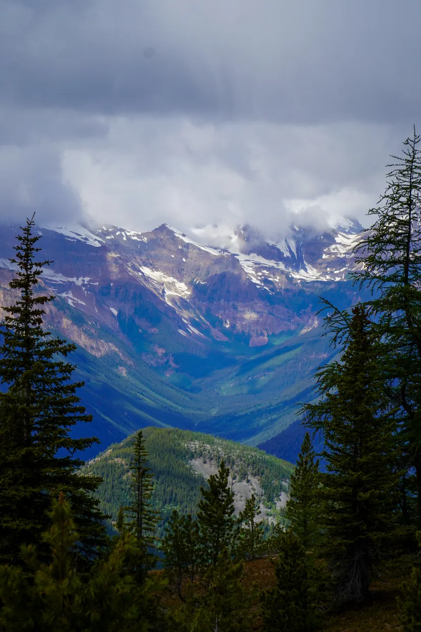 Panorama_WILDness Day 1_2025 (44)