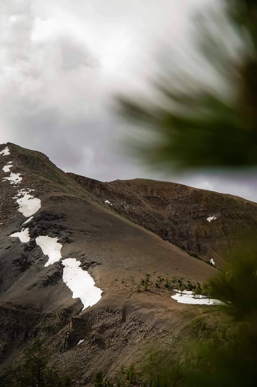 Panorama_WILDness Day 1_2025 (20)