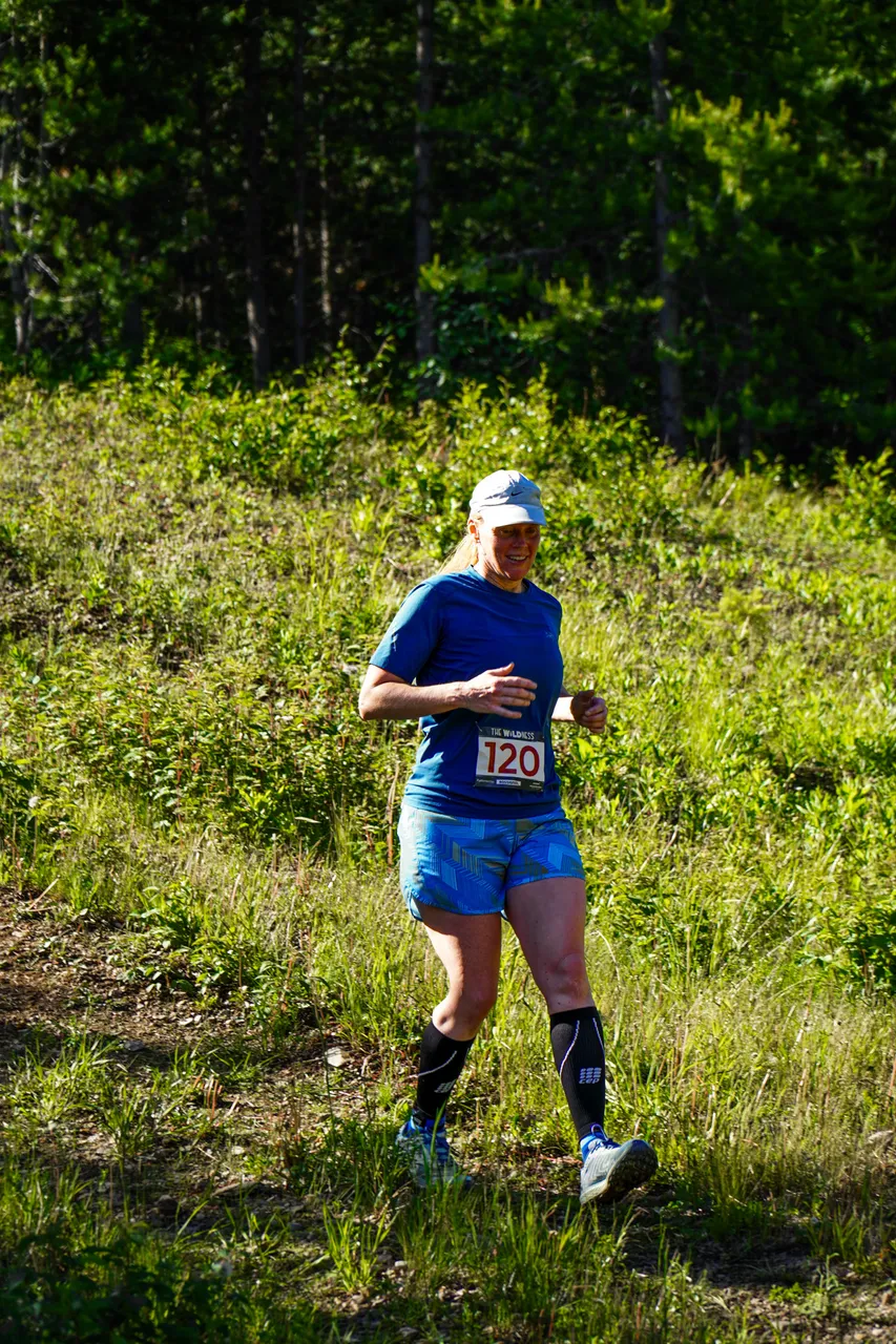 Panorama_WILDness Day 2_2025 (41)