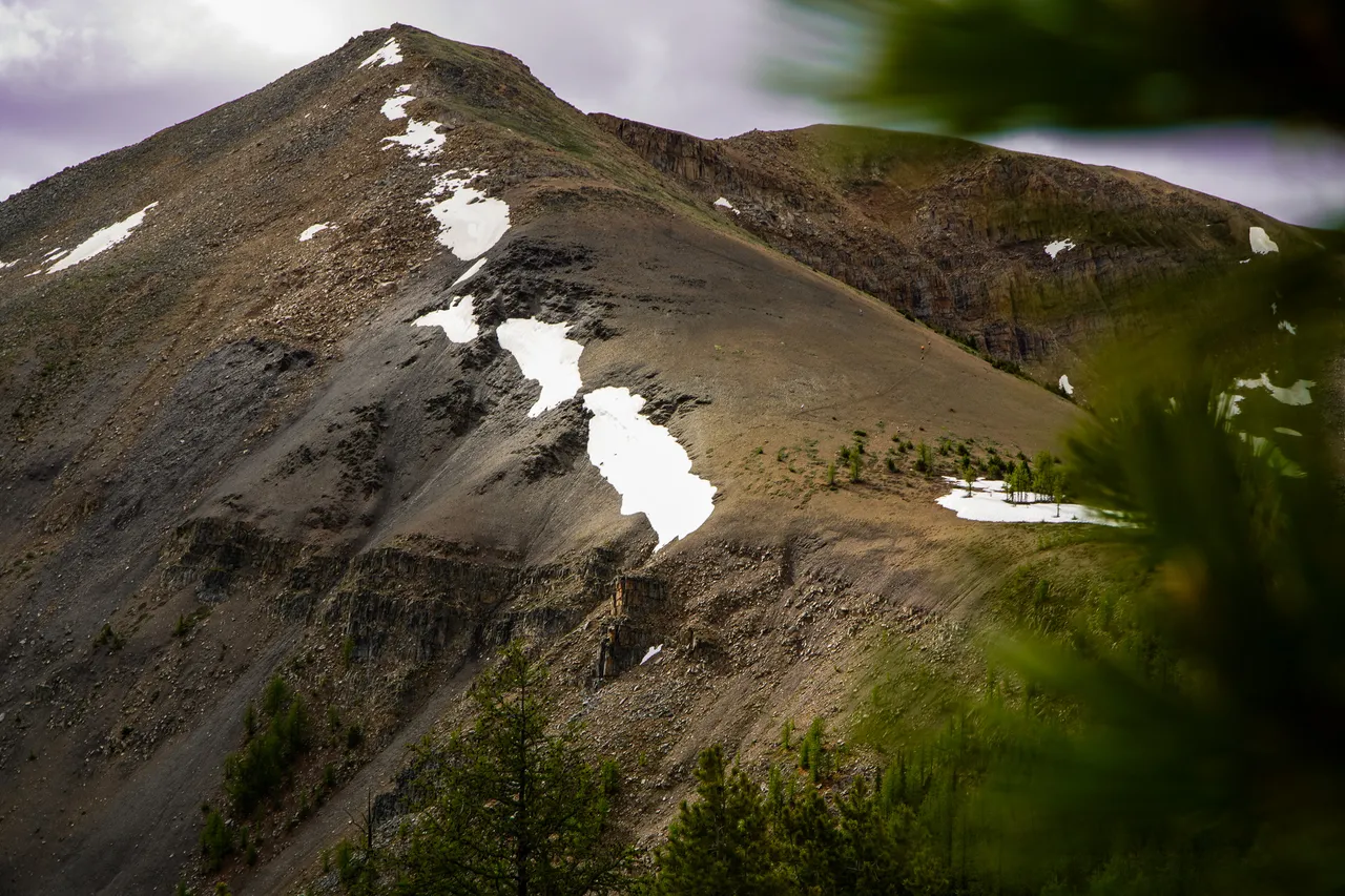 Panorama_WILDness Day 1_2025 (21)