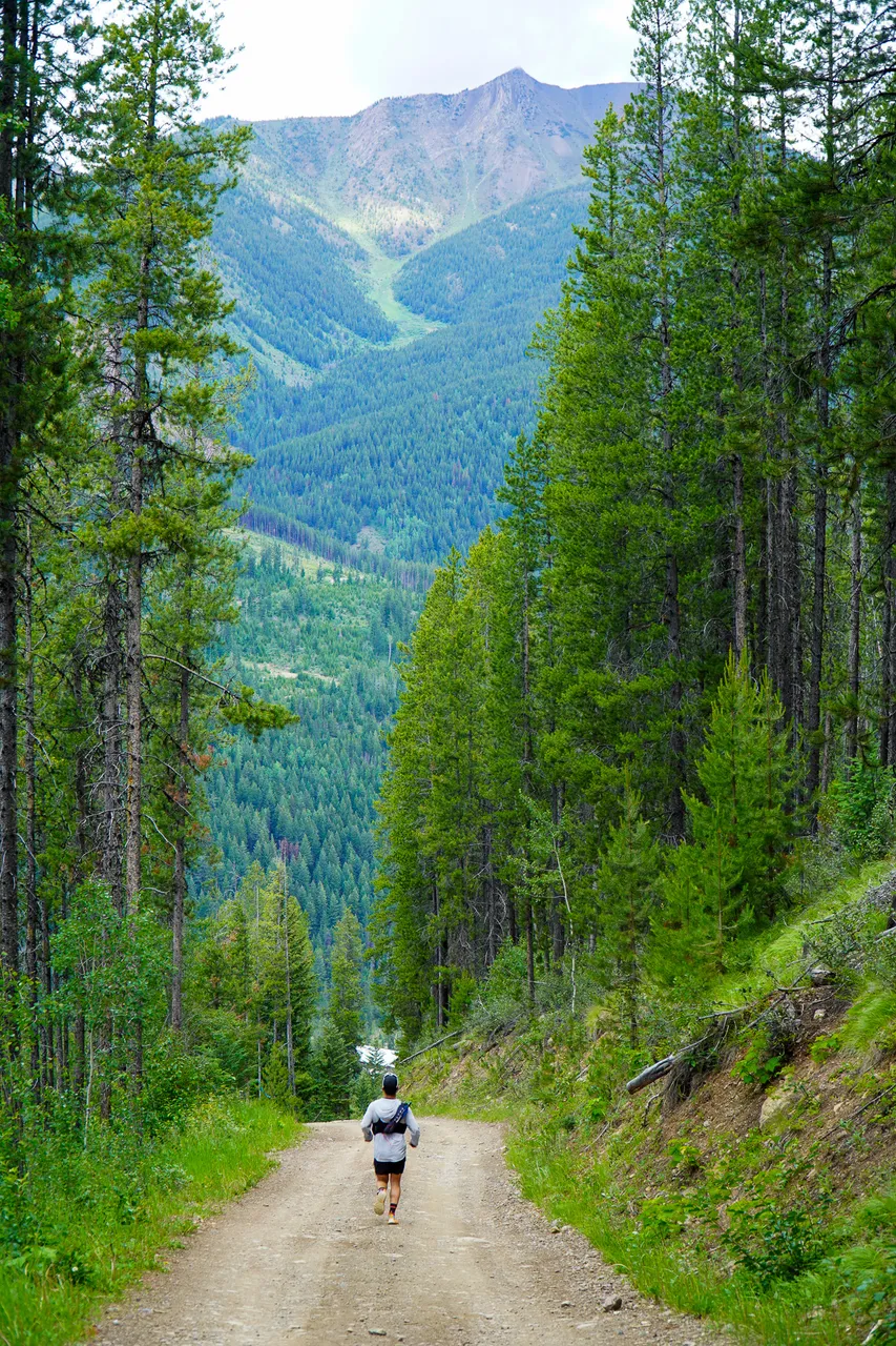 Panorama_WILDness Day 1_2025 (91)