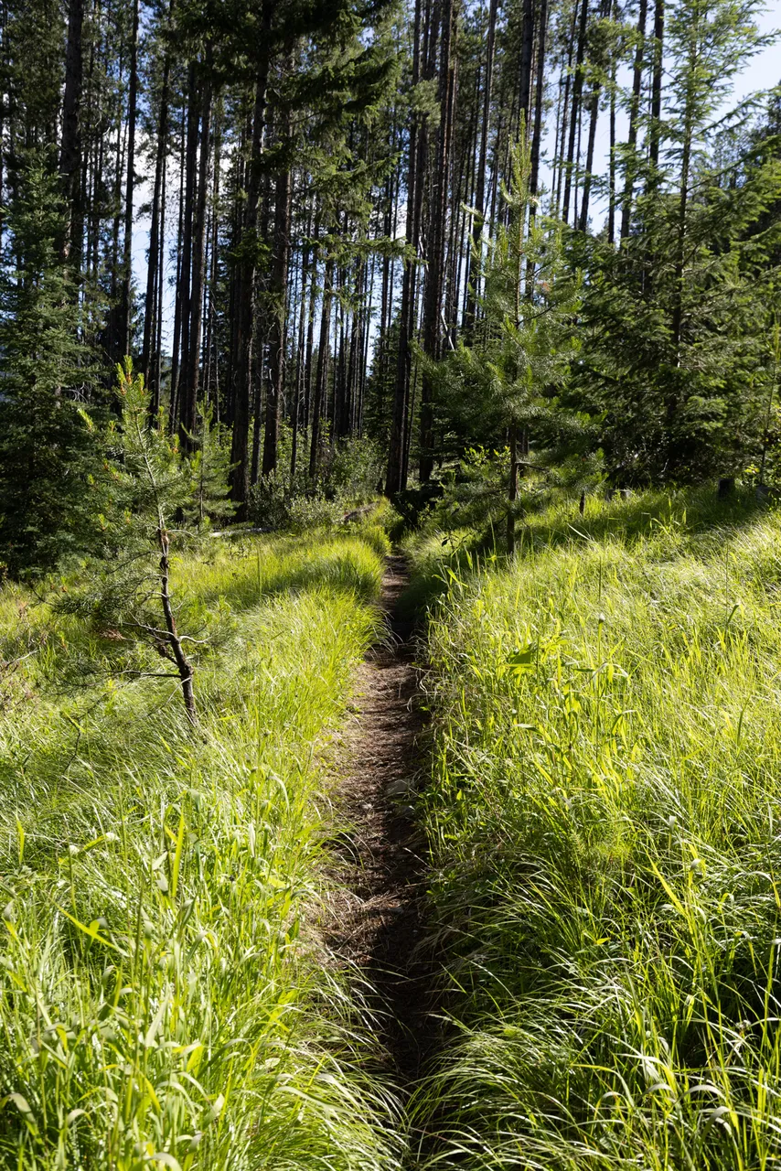 Dan Evans_WILDness_Day 2-046