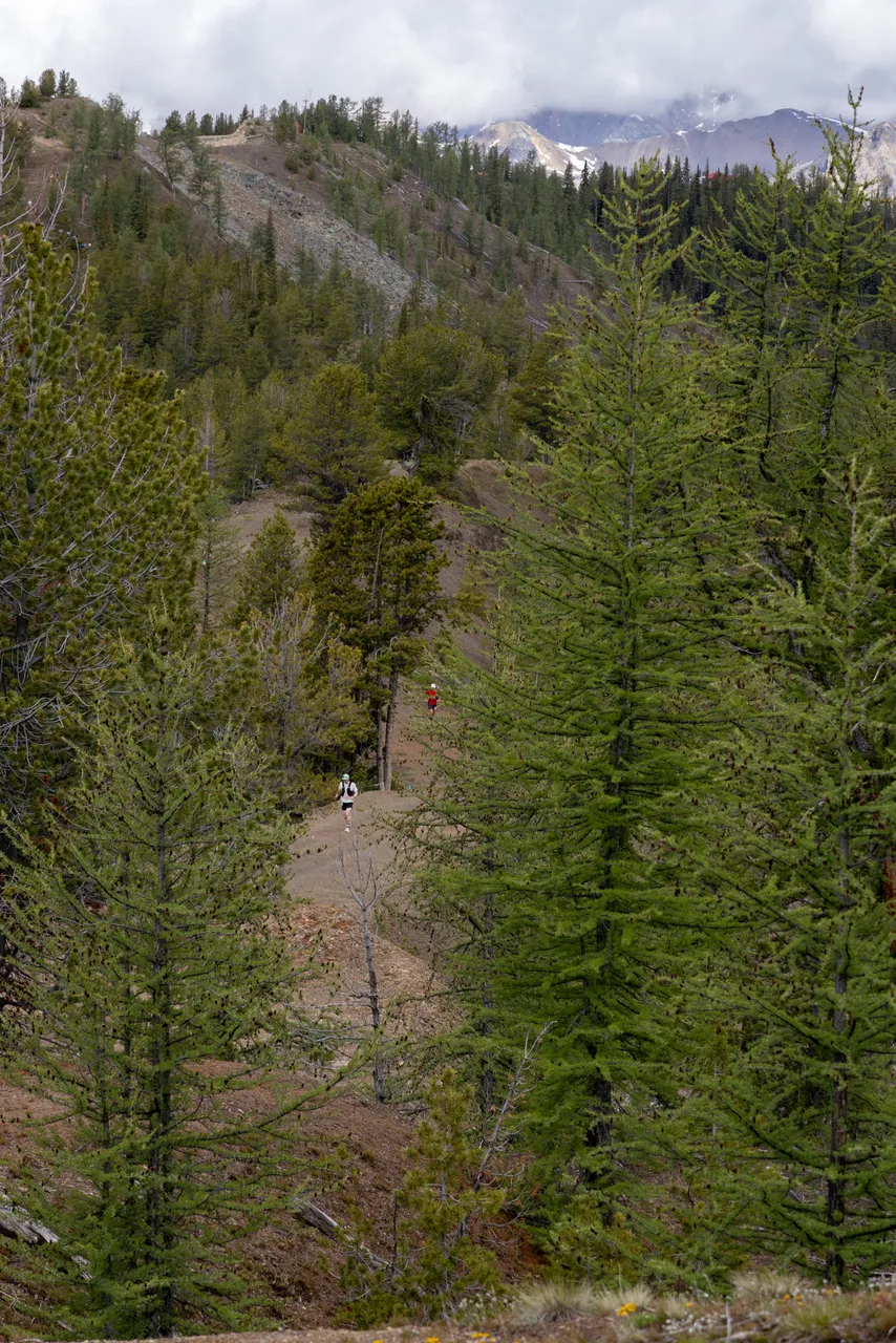 Dan Evans_WILDness_Day 1-101