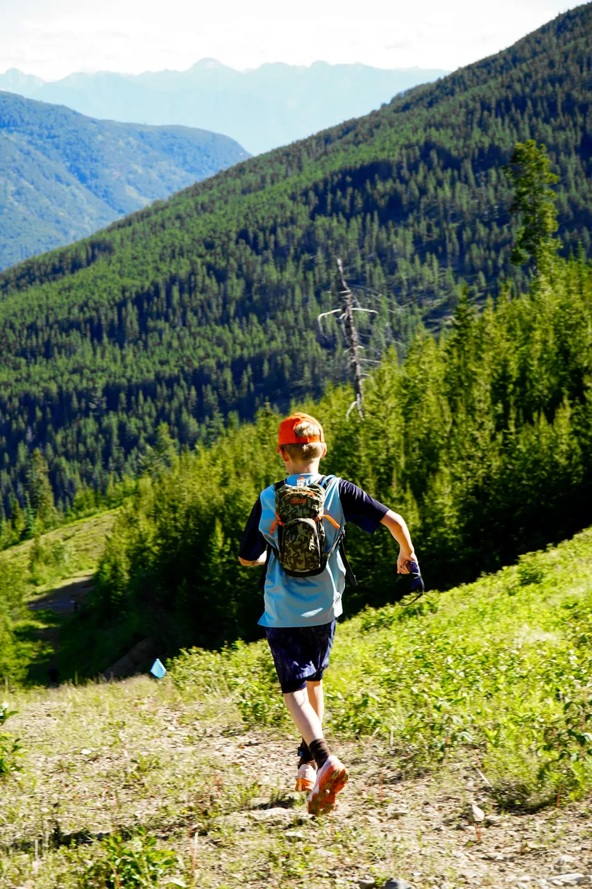 Panorama_WILDness Day 2_2025 (38)