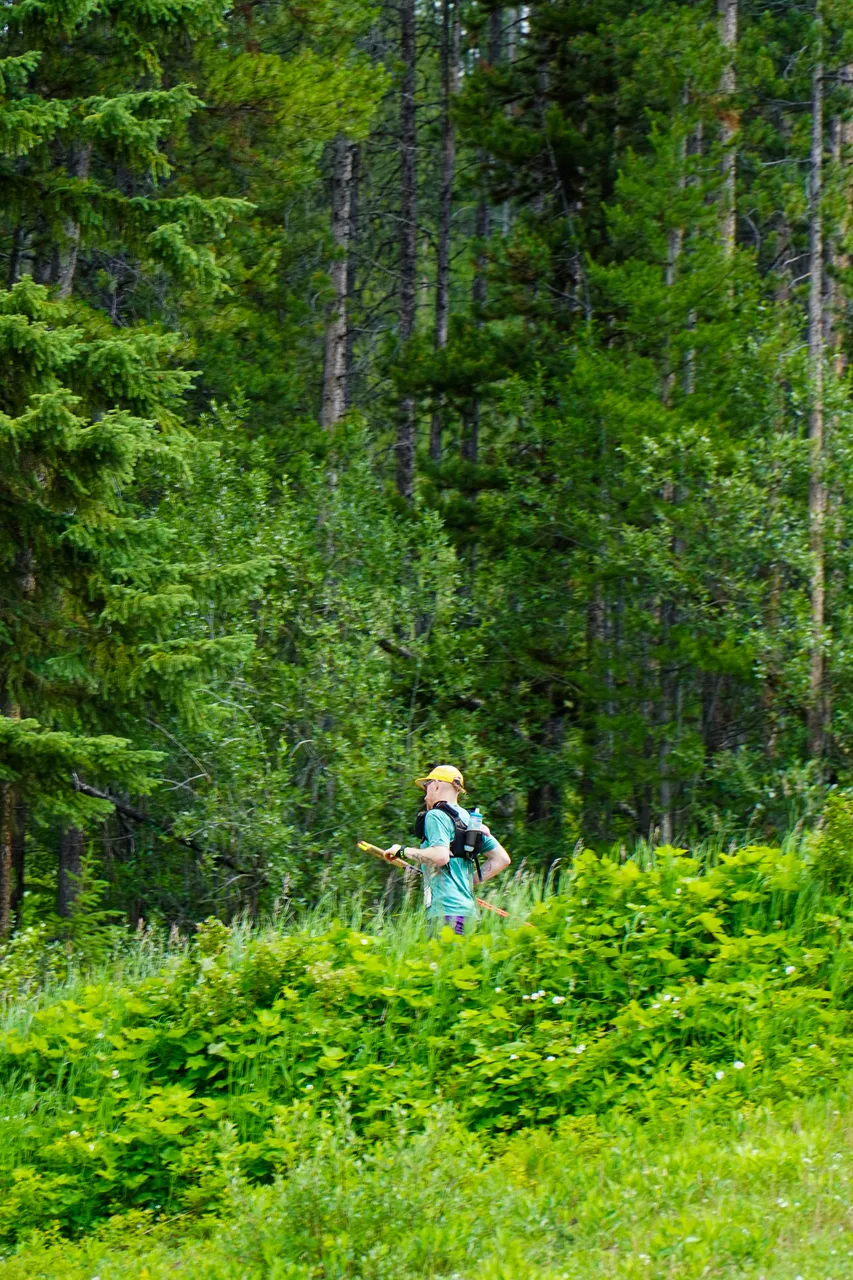 Panorama_WILDness Day 1_2025 (73)