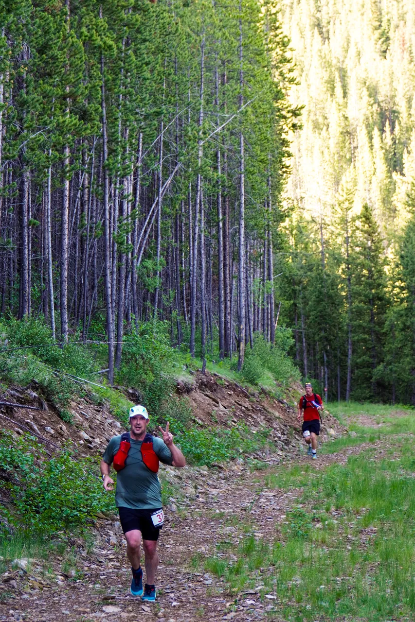 Panorama_WILDness Day 2_2025 (20)