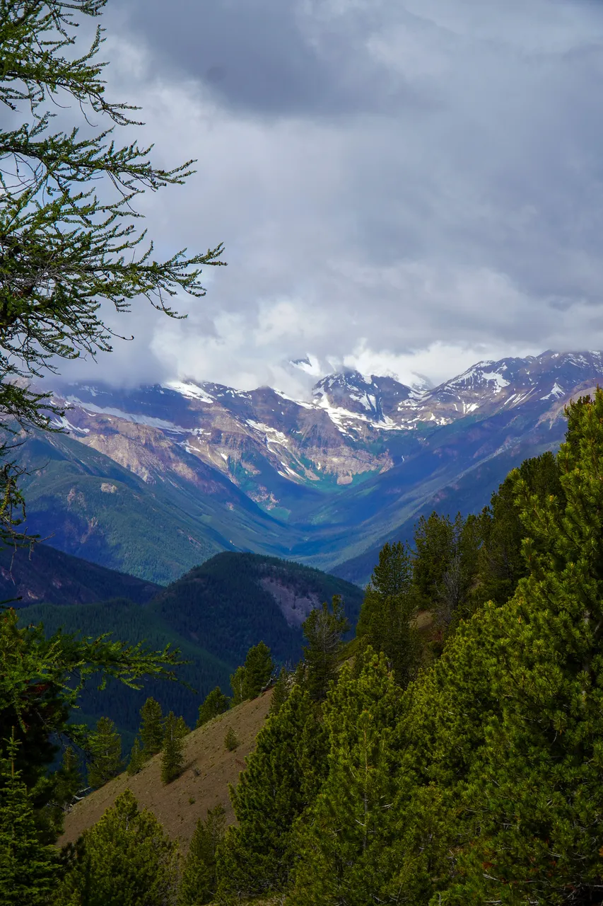 Panorama_WILDness Day 1_2025 (48)