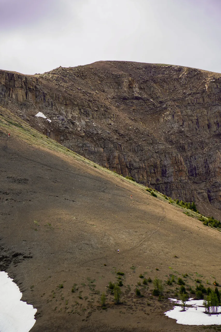 Panorama_WILDness Day 1_2025 (18)