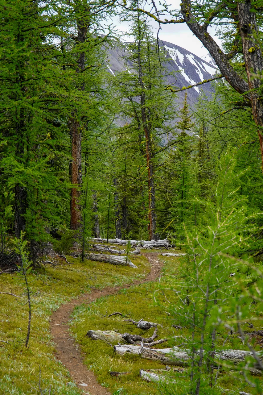Panorama_WILDness Day 1_2025 (31)