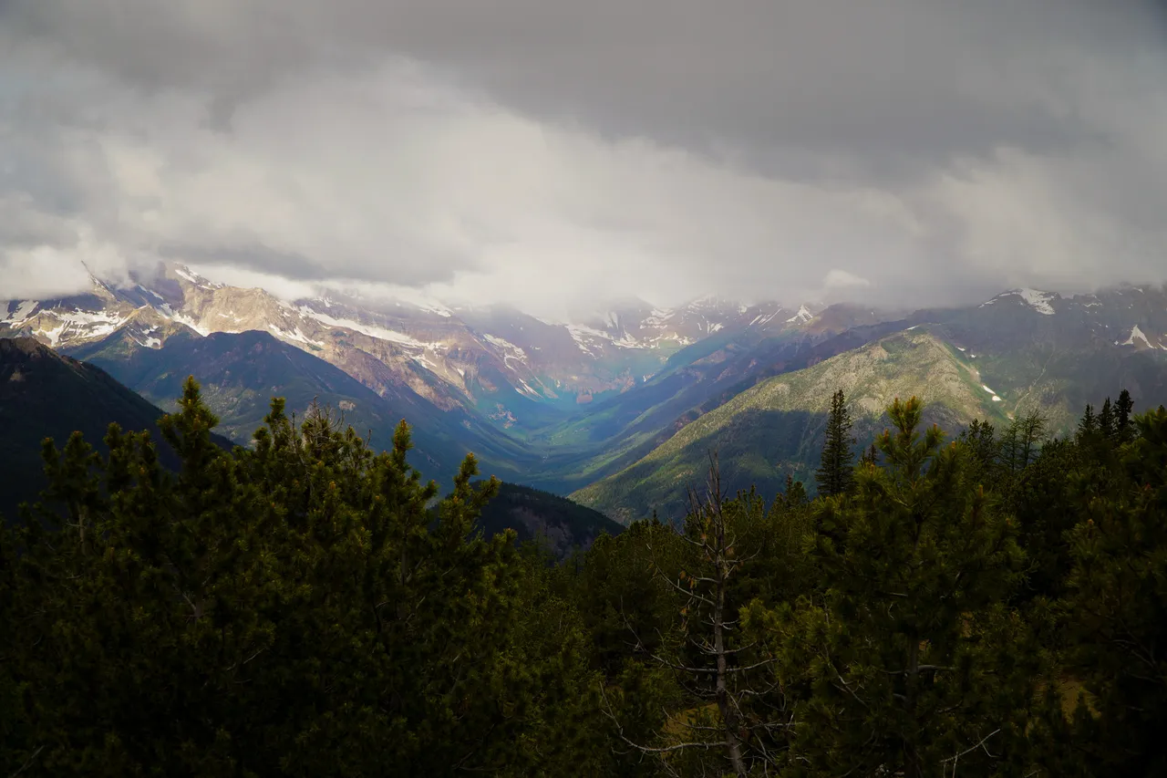 Panorama_WILDness Day 1_2025 (30)