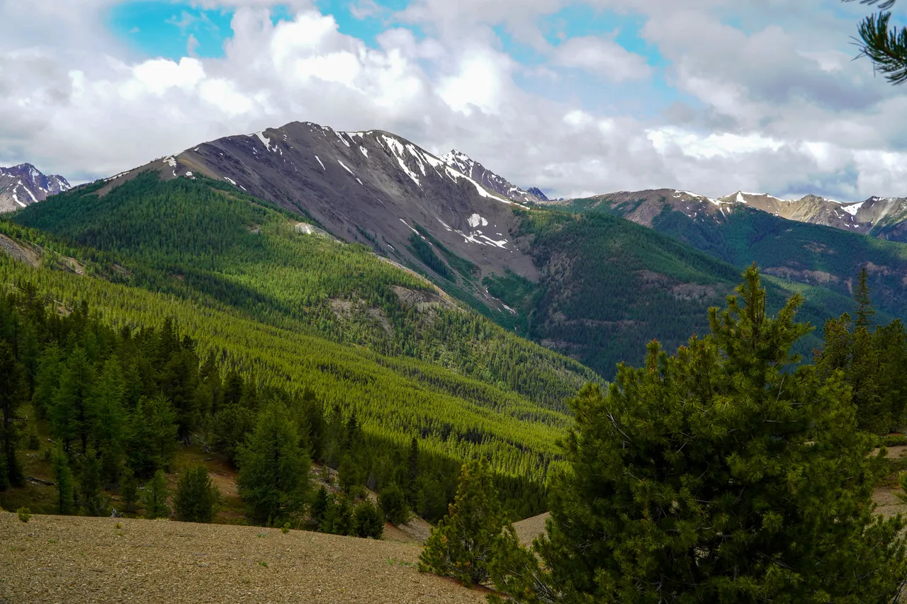 Panorama_WILDness Day 1_2025 (47)