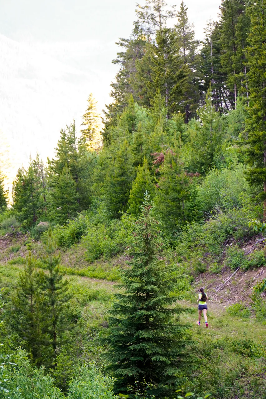 Panorama_WILDness Day 2_2025 (27)