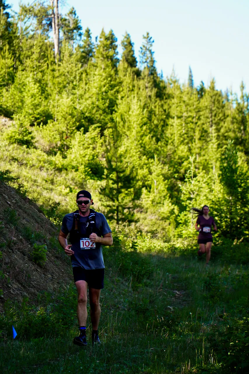Panorama_WILDness Day 2_2025 (32)